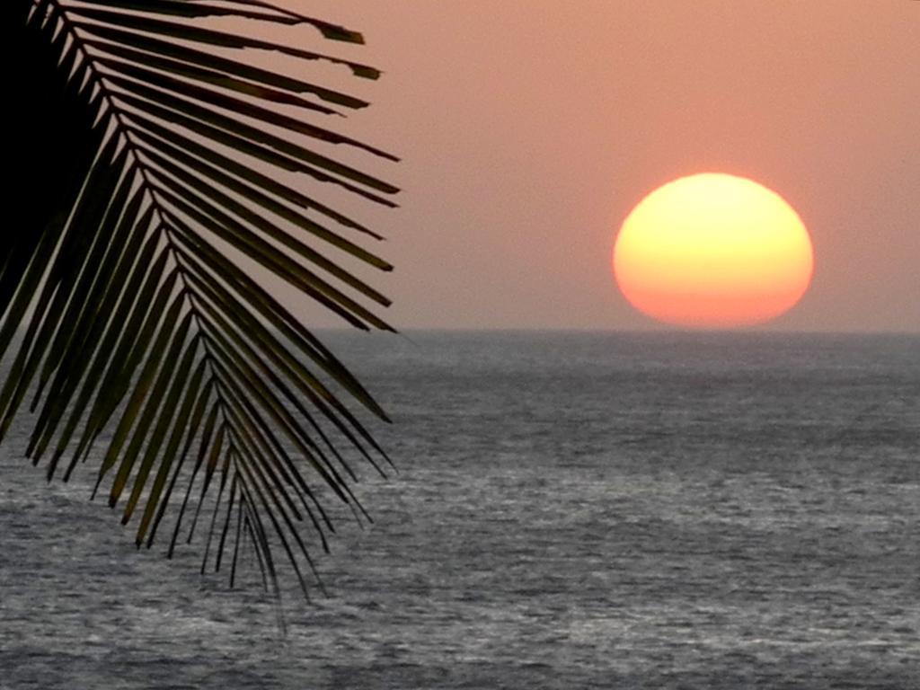 Casas Pelicano Playa Junquillal Kültér fotó